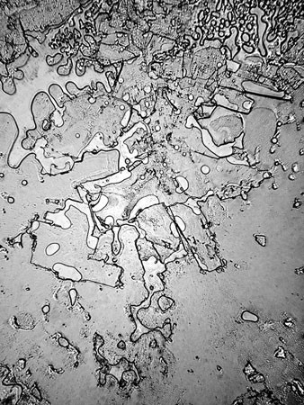 Lagrimas al microscopio 1