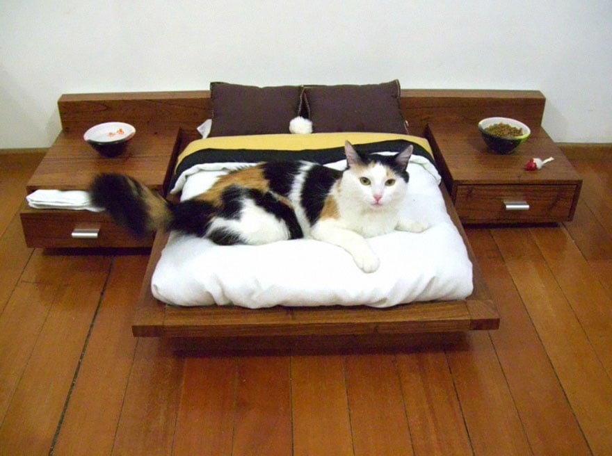 muebles gatos 3.0