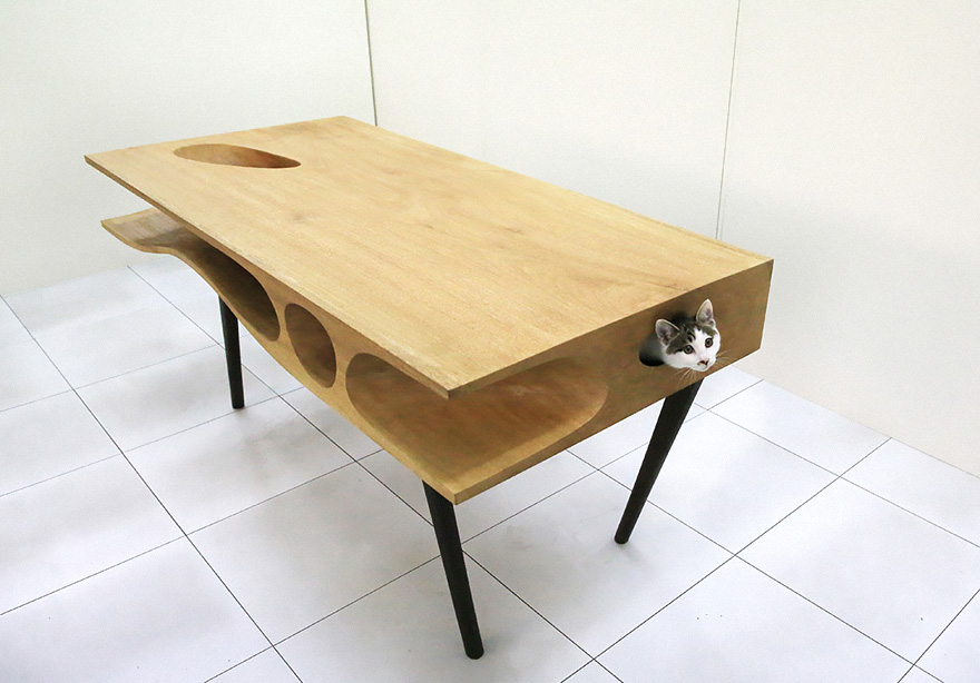 muebles gatos 5.0